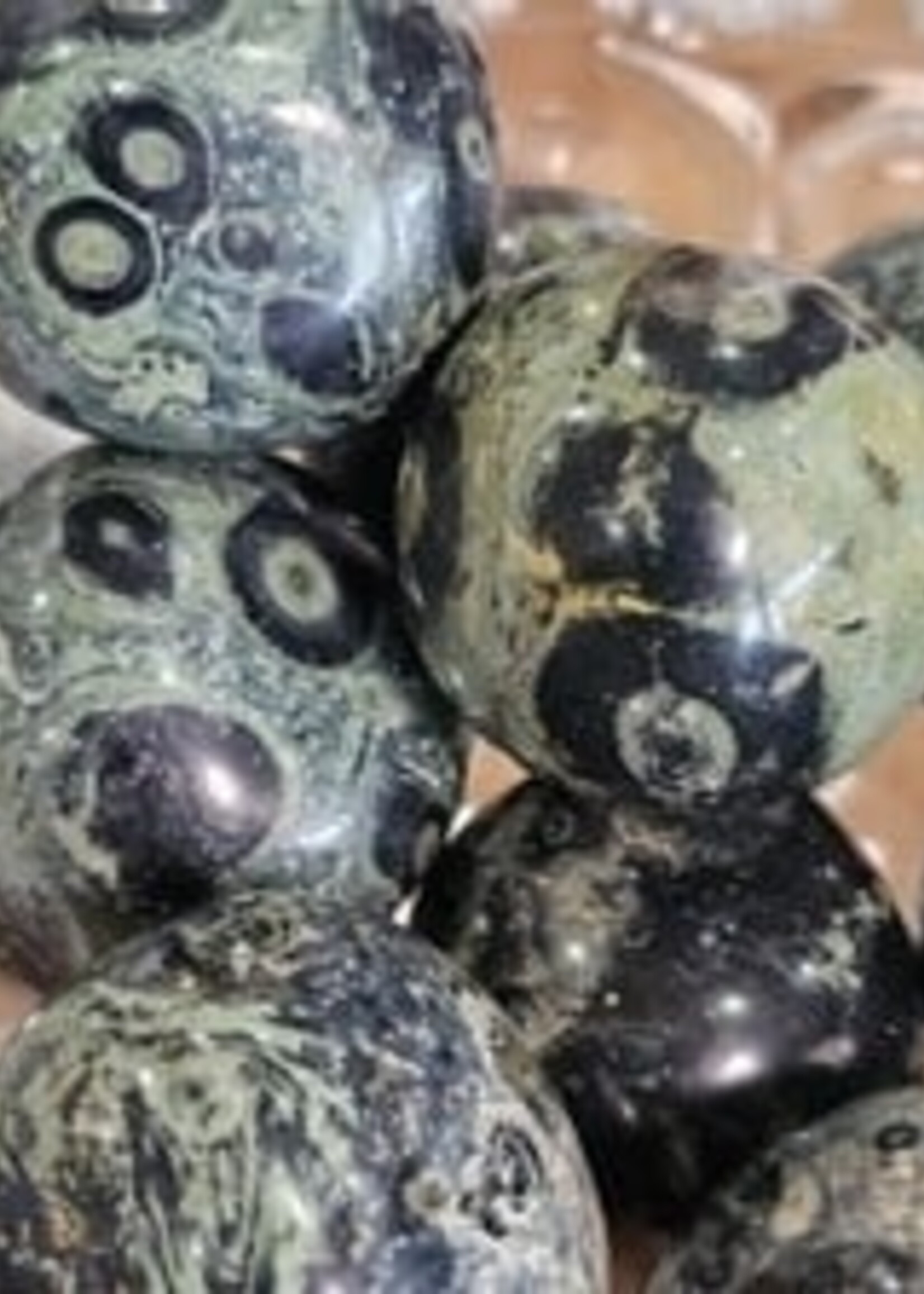 Crocodile / Kambaba Jasper Tumbled