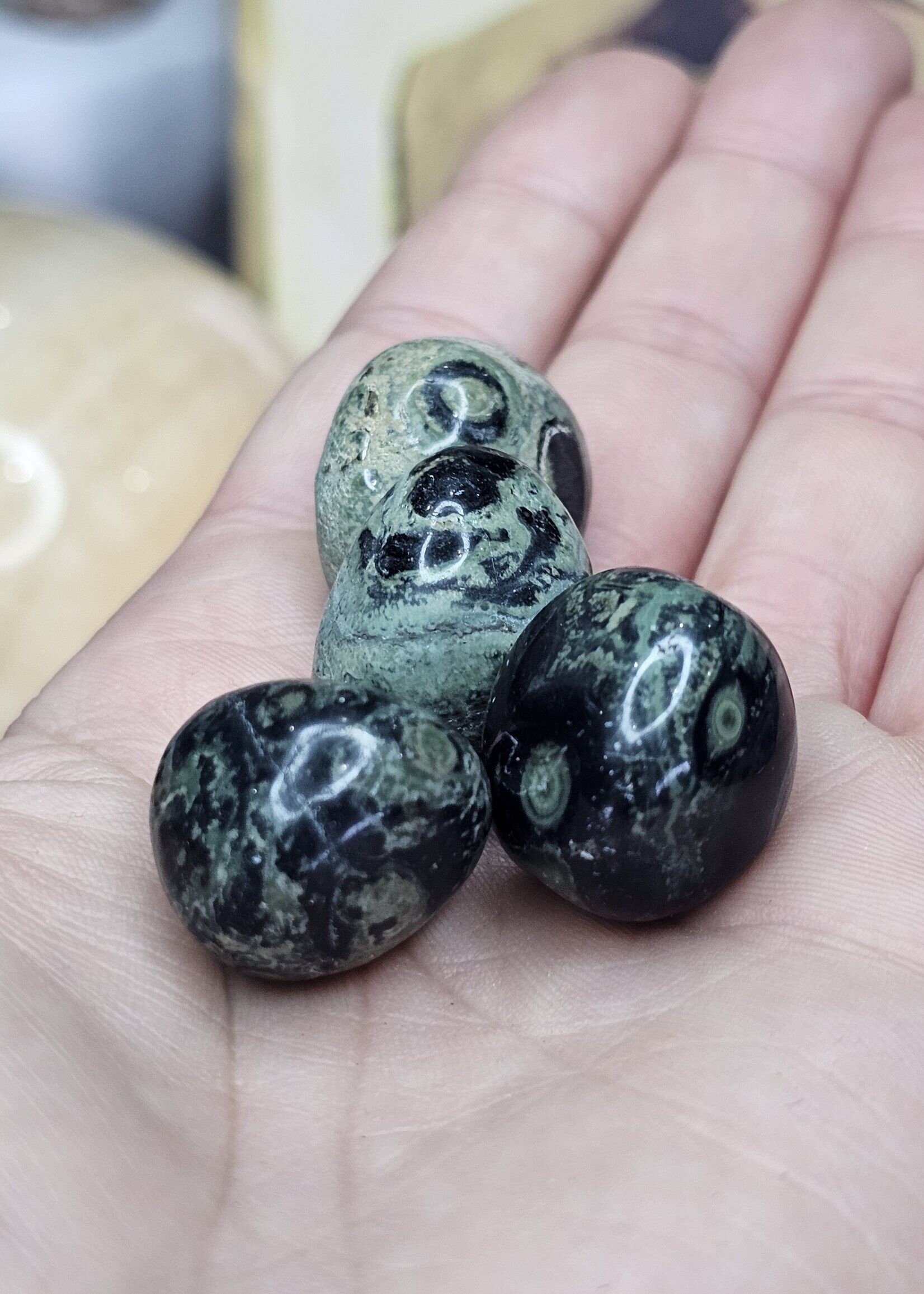 Crocodile / Kambaba Jasper Tumbled