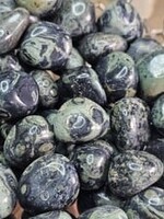 Crocodile / Kambaba Jasper Tumbled