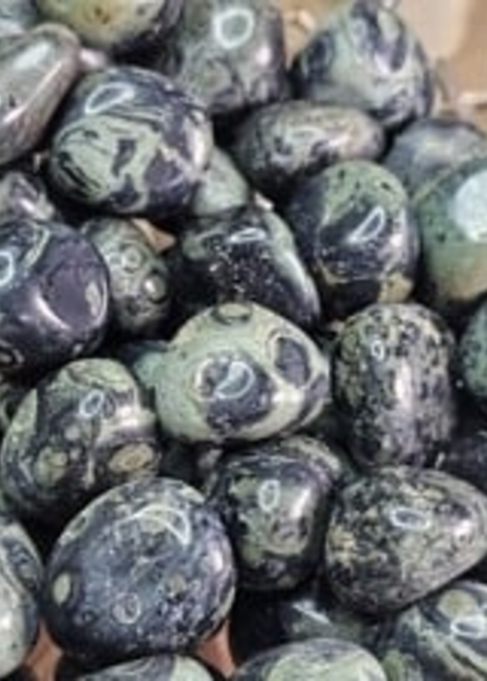 Crocodile / Kambaba Jasper Tumbled