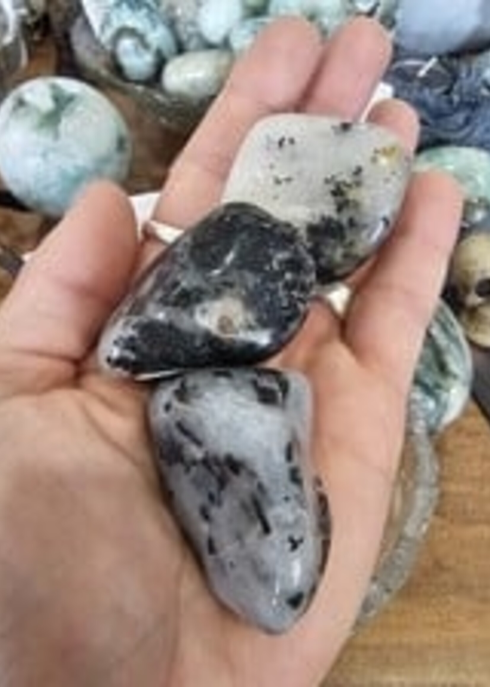 Tourmalated Quartz Tumbled