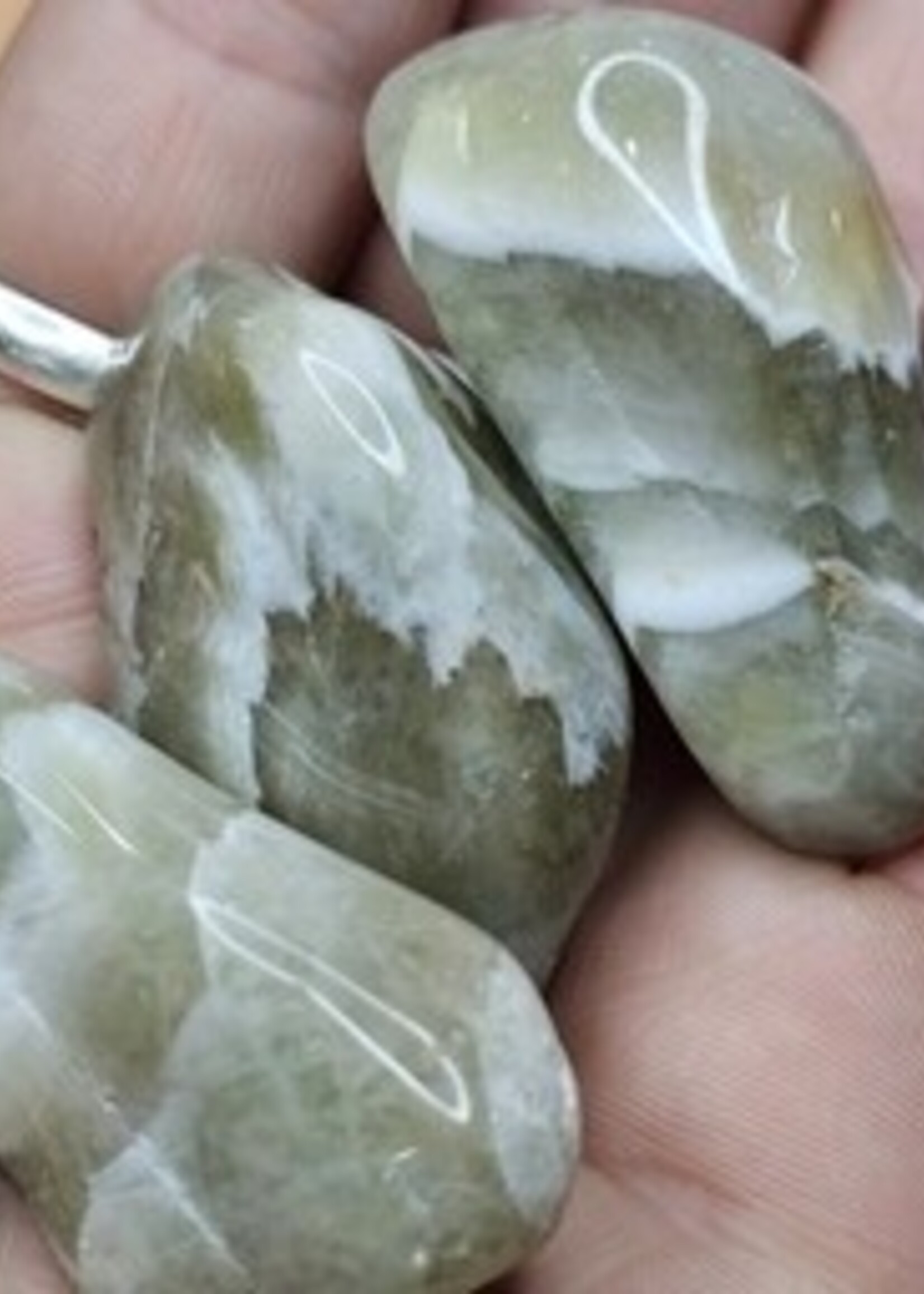Prasiolite Tumbled
