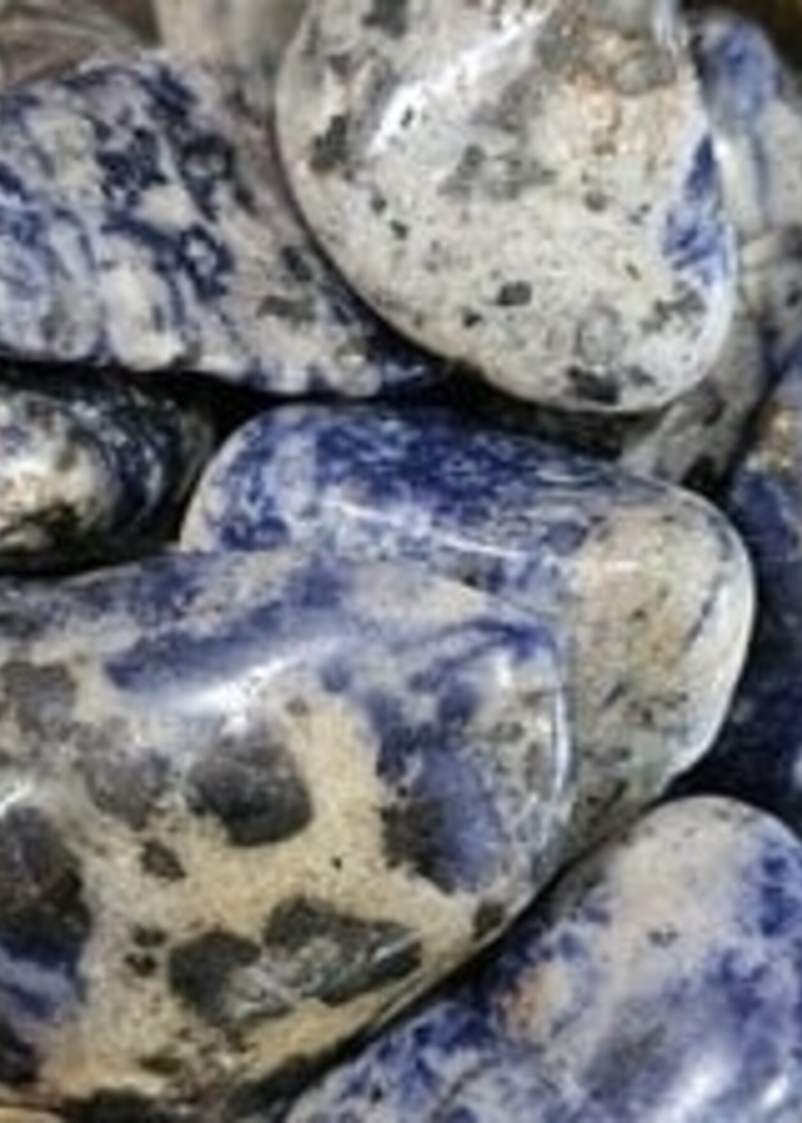 Sodalite Tumbled