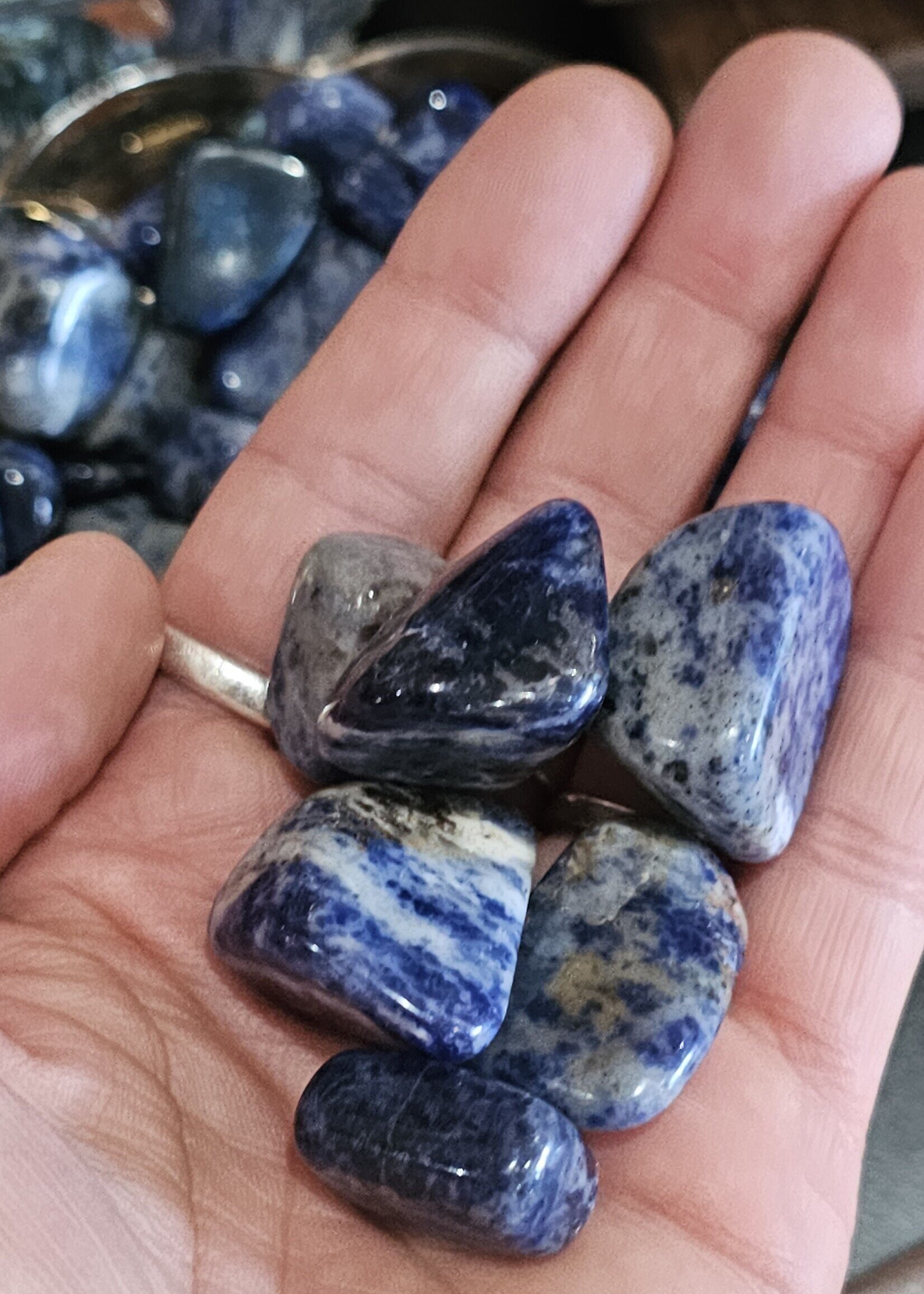 Sodalite Tumbled