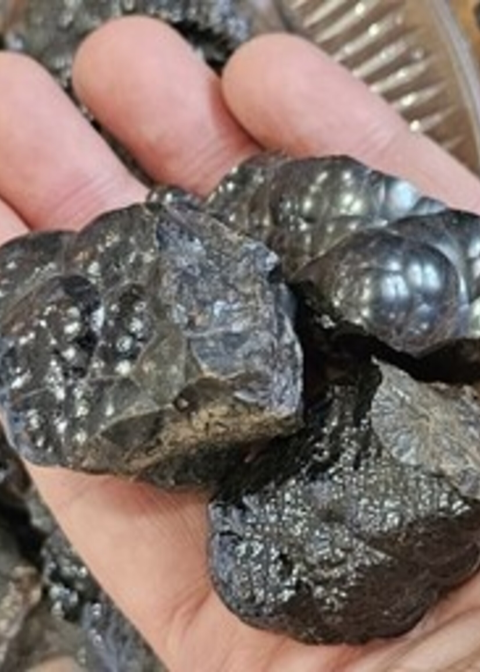 Hematite Natural Rough Nuget