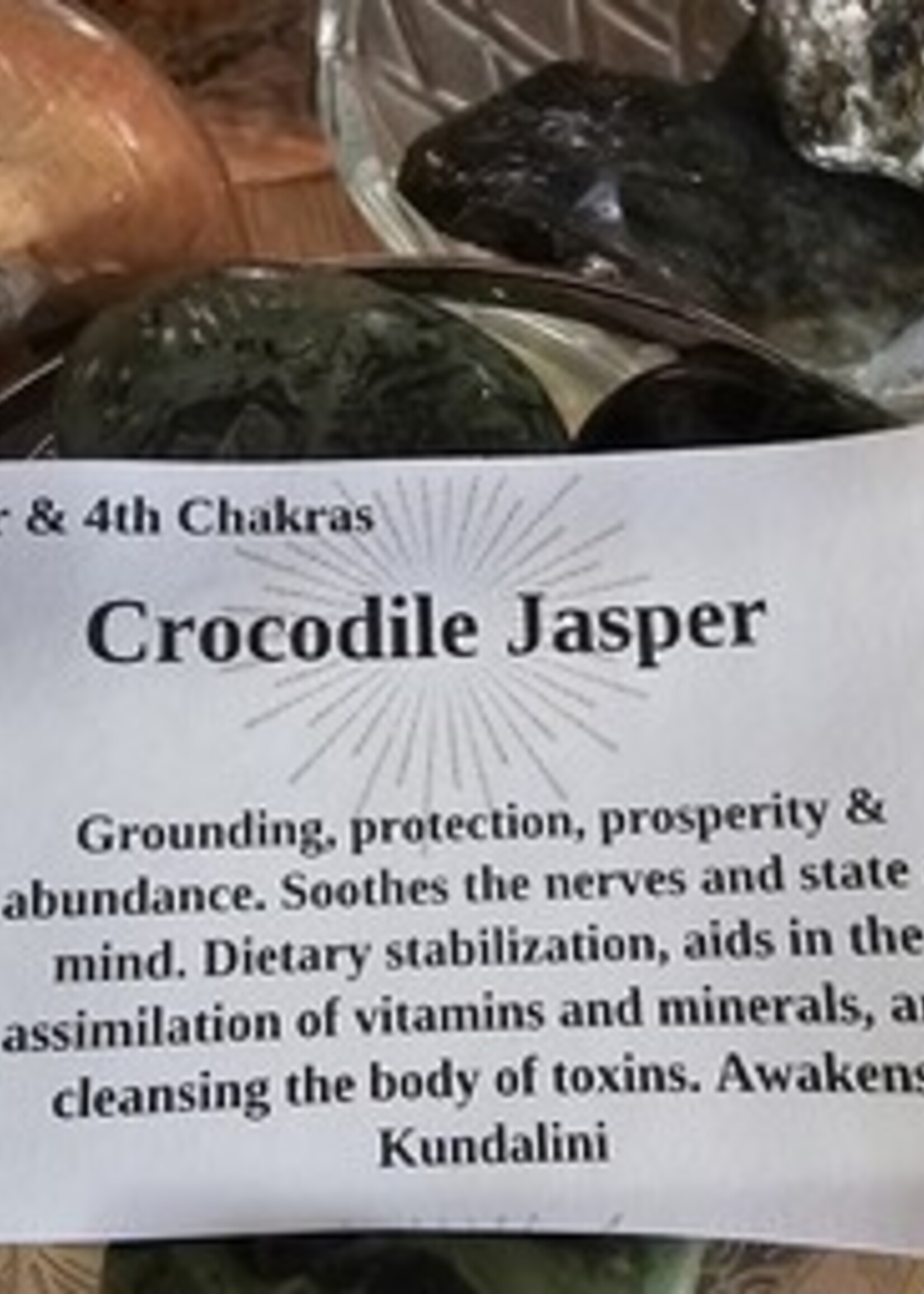 Crocodile Jasper Palm