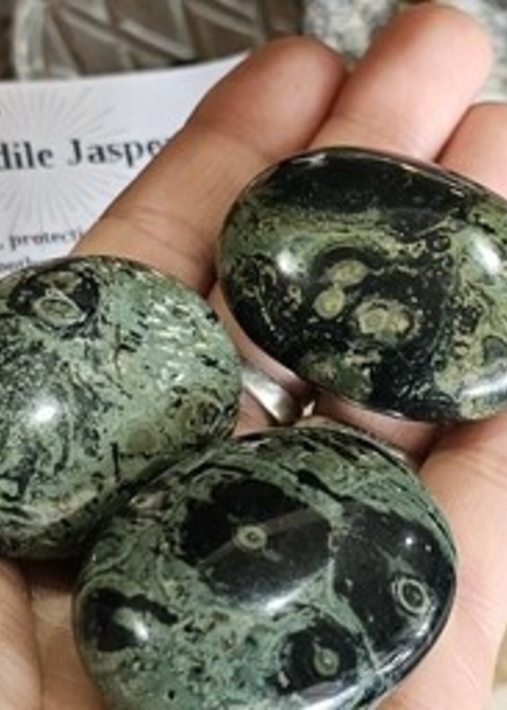 Crocodile Jasper Palm