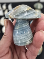 Blue Onyx Mushroom 3"