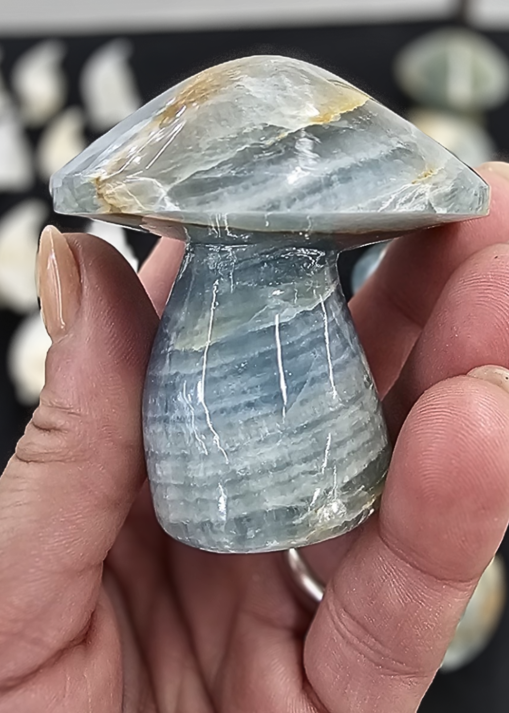 Blue Onyx Mushroom 3"