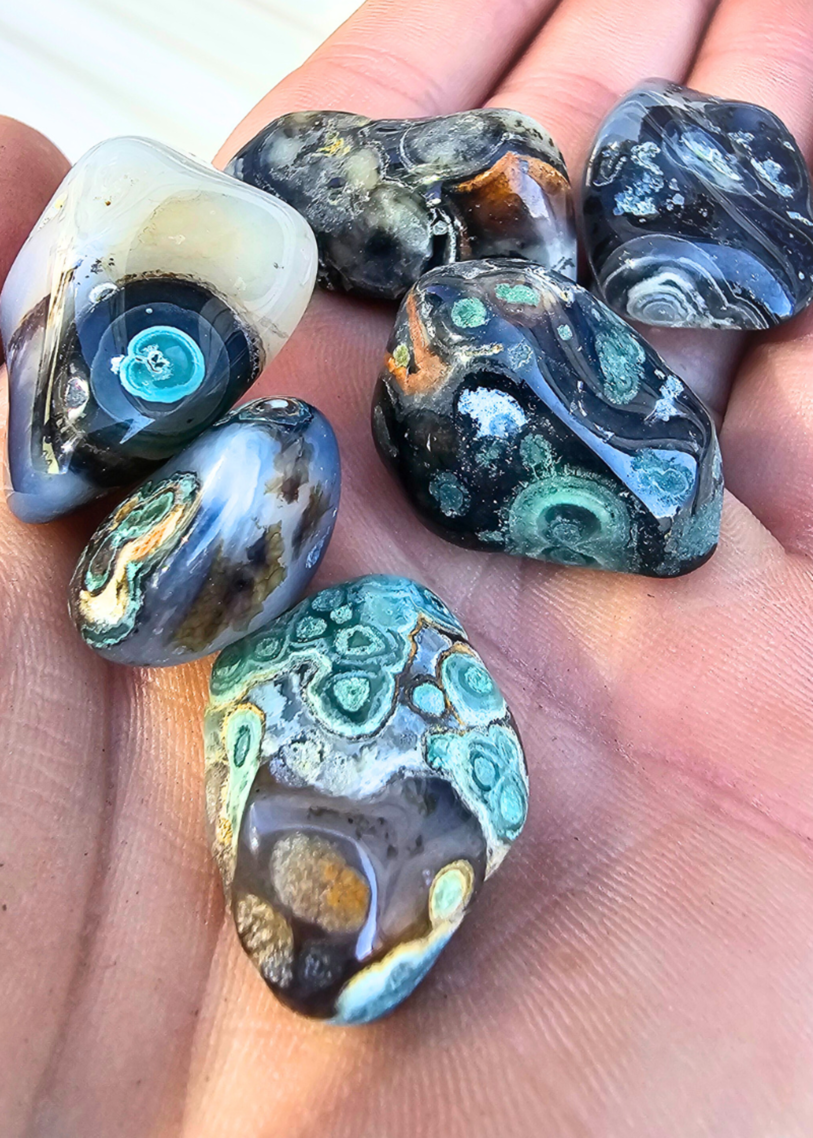 Eye Agate, Oregon, Tumbled, Med.