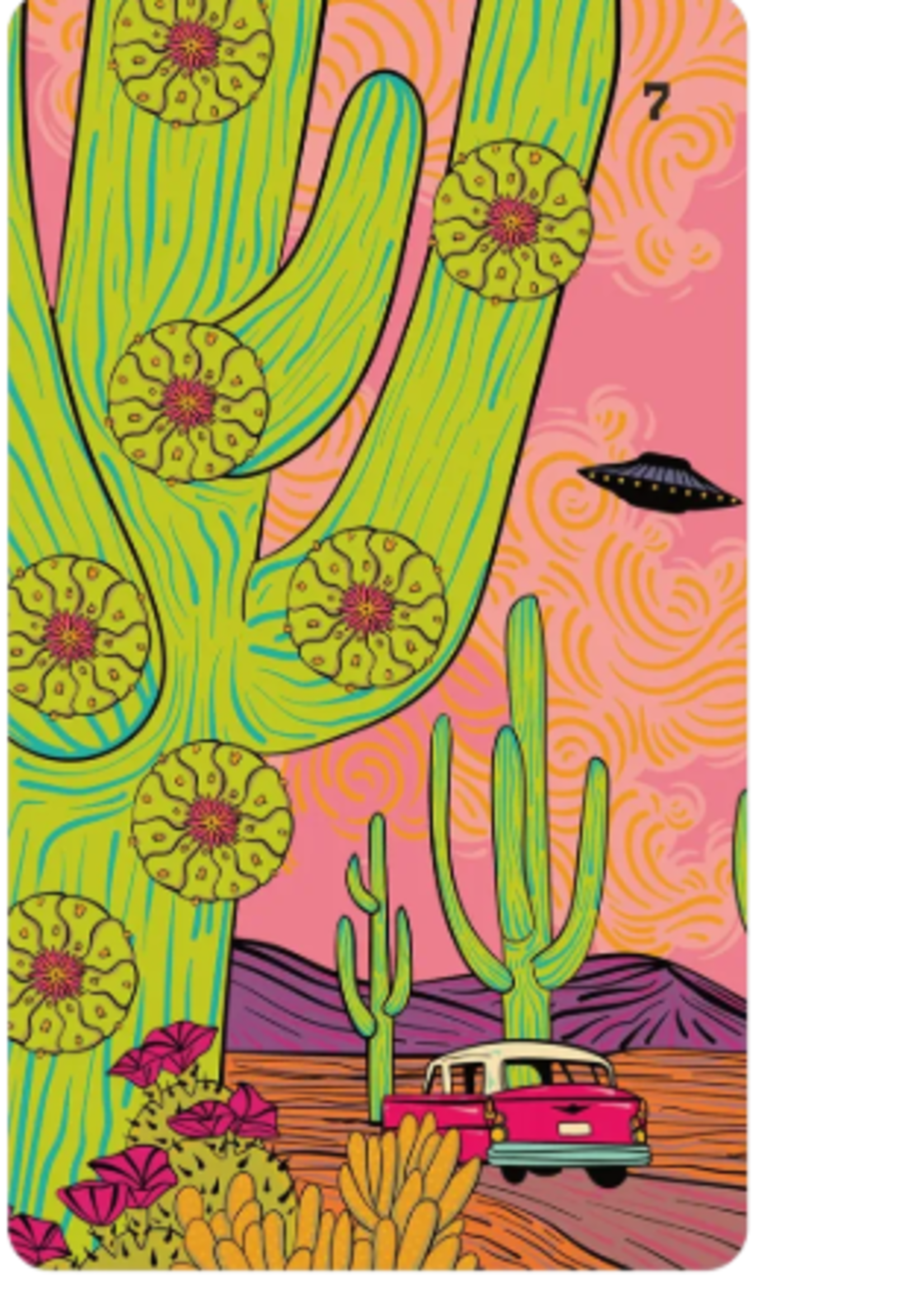 Desert Illuminations Tarot 78 Card Deck & Guide Book