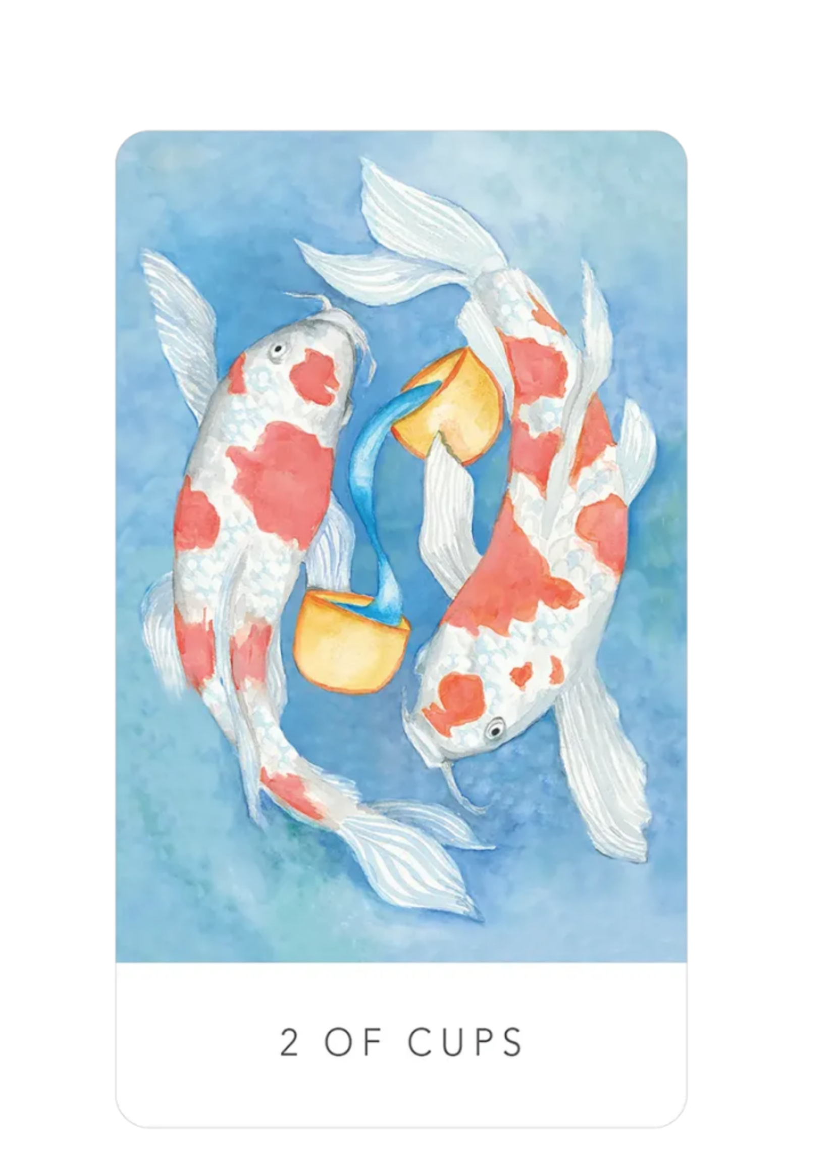 Black Seed Tarot 78 Card Deck & Guide Book