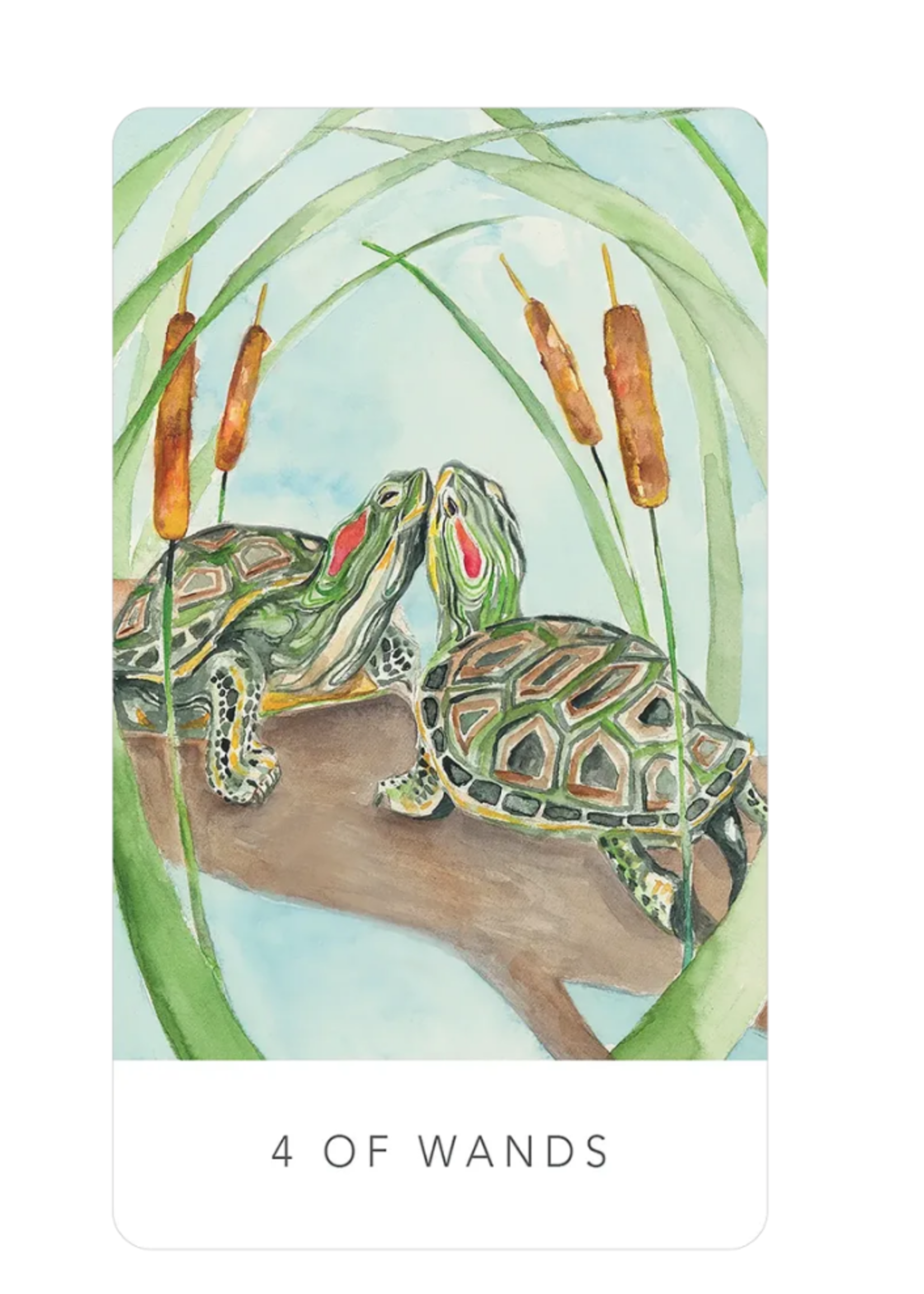 Black Seed Tarot 78 Card Deck & Guide Book