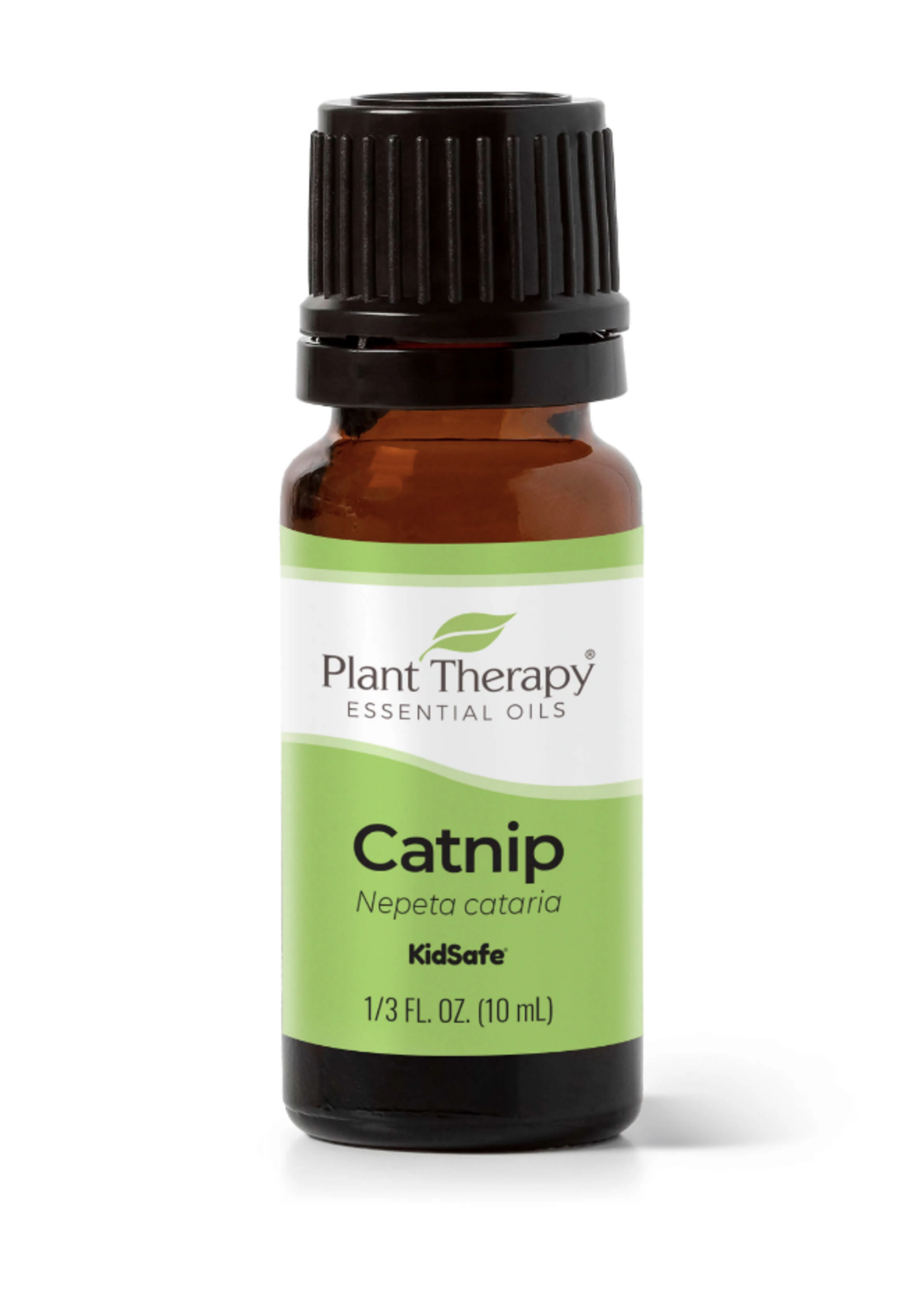 Catnip Essential Oil, 10ml