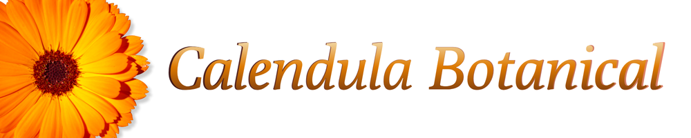 Calendula: The Solar Herb of Progress, Courage & Psychic Clarity