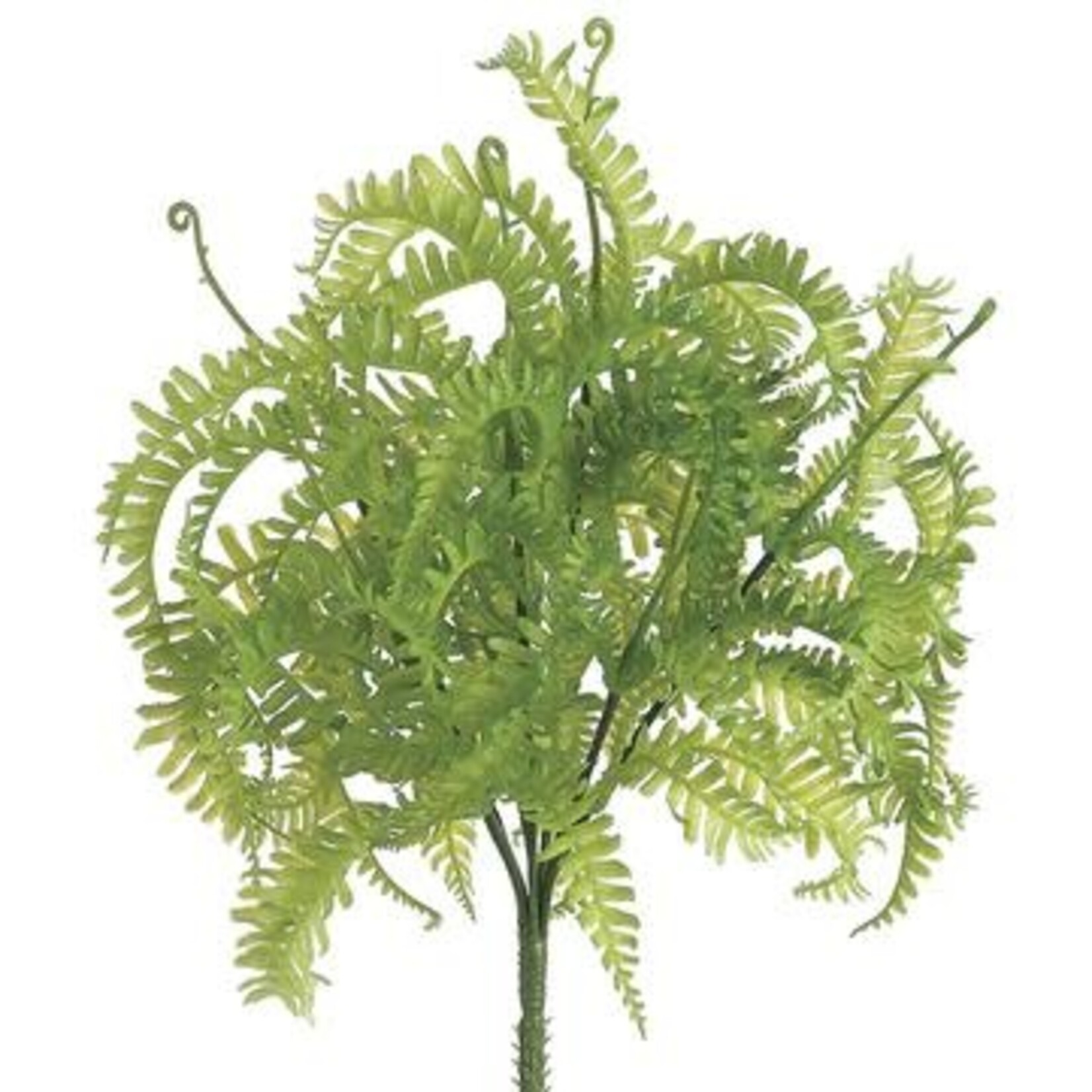 10" Soft PE Mini Fern Bush GN 11''