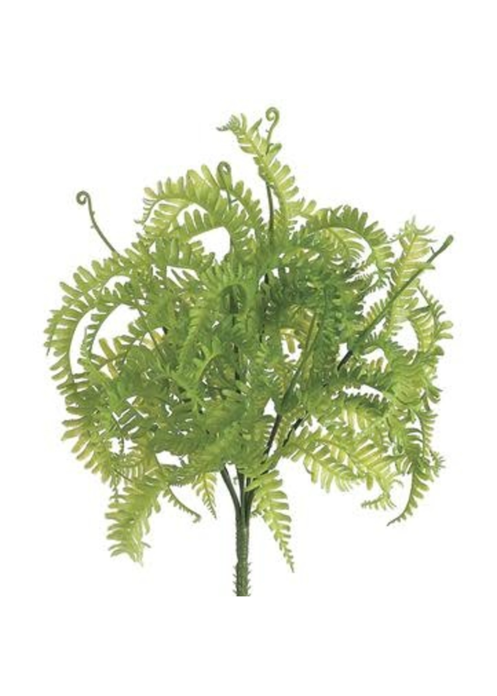 10" Soft PE Mini Fern Bush GN 11''