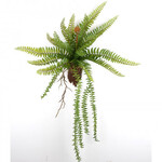 26" Boston Hanging Fern