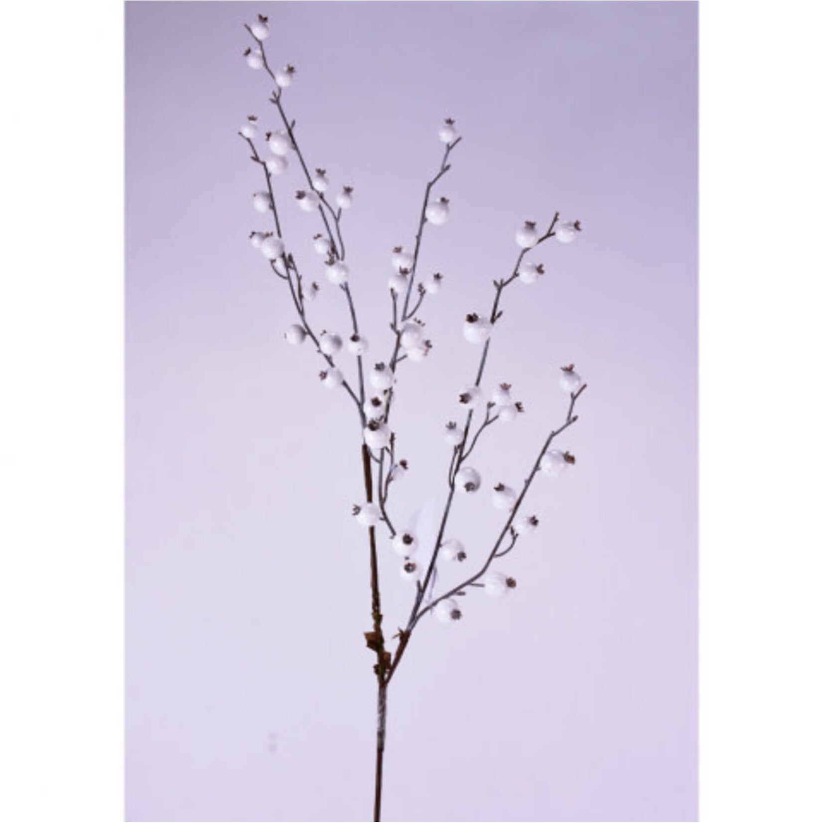 30" MINI POMOGRANITE SPRAY WR WHITE SHINY 12PC/48PC