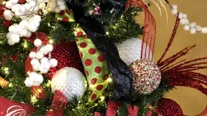 Oh Christmas Tree