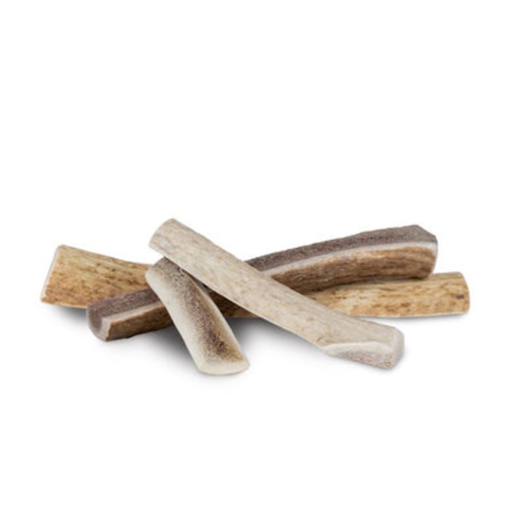Primal Primal Stag Antler XL