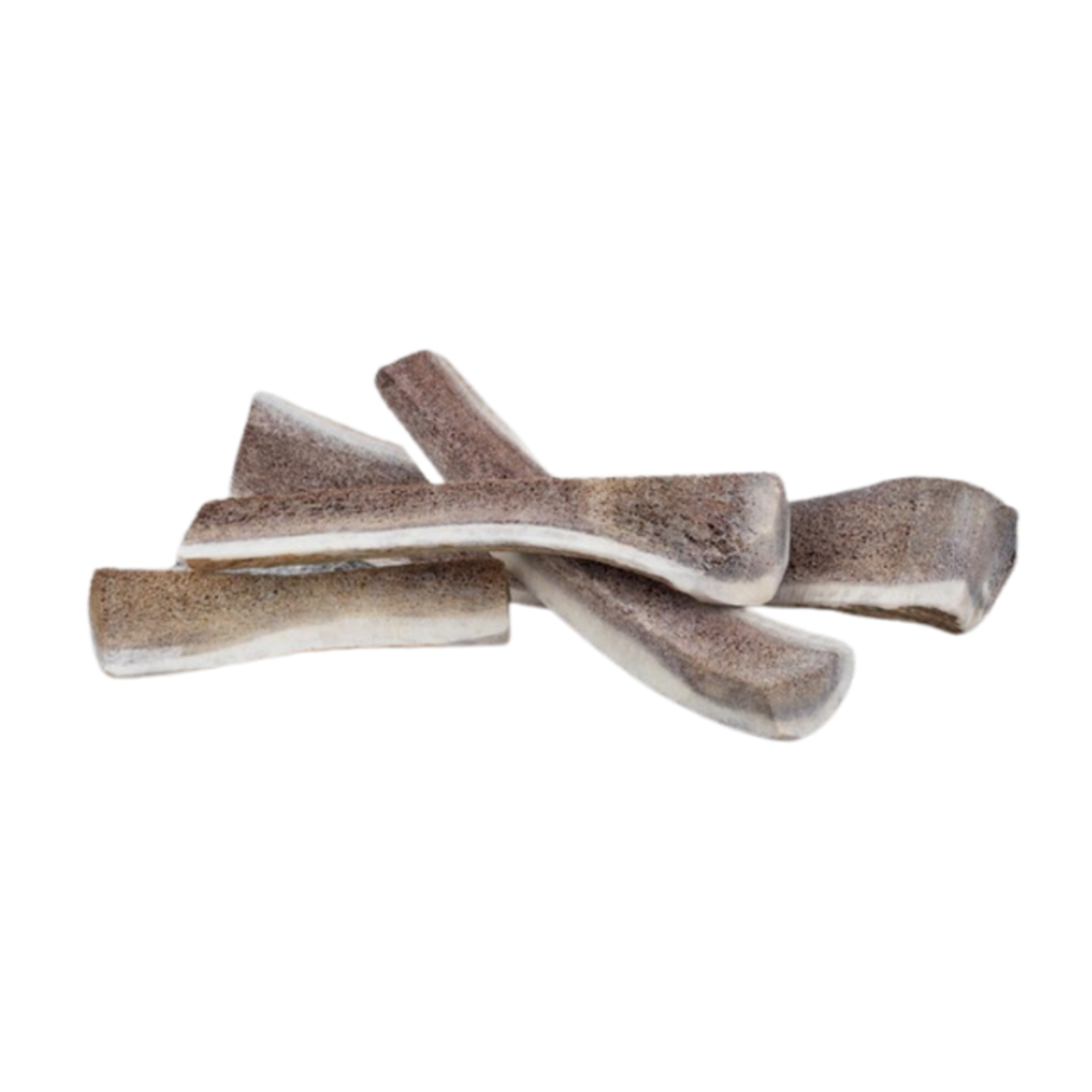 Primal Primal Elk Antler MD