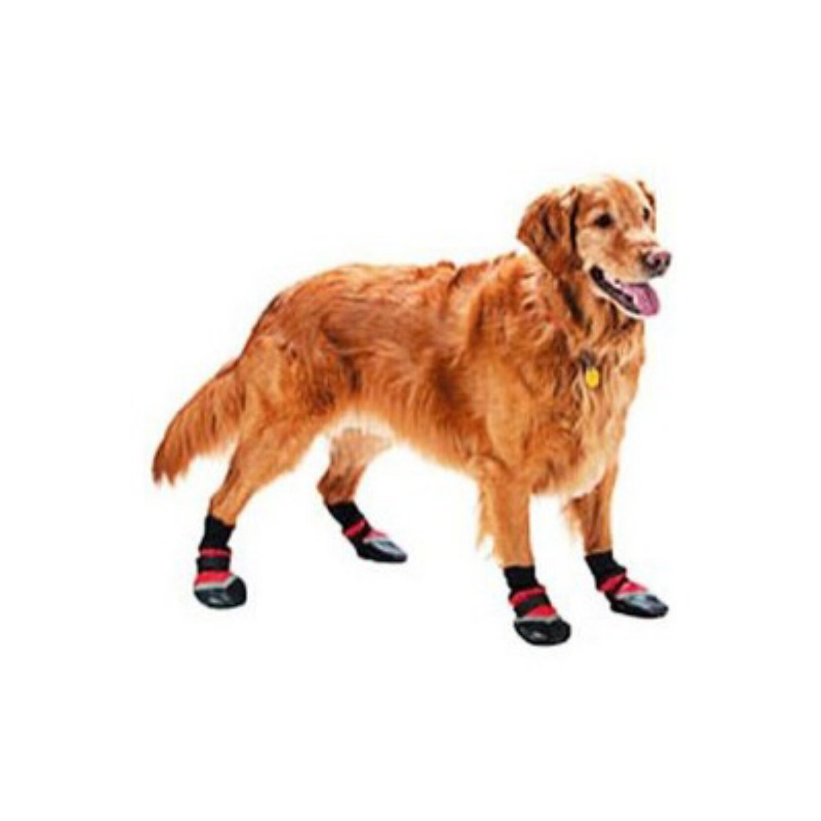 Ethical Pet Ethical Pet Extreme All Weather Boots Large