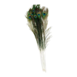 Vee Enterprises Vee Natural Peacock Feather 35-40''