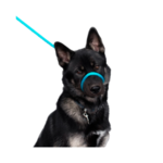 Heather's Heroes Heather's Heroes Sidekick Regular Turquoise