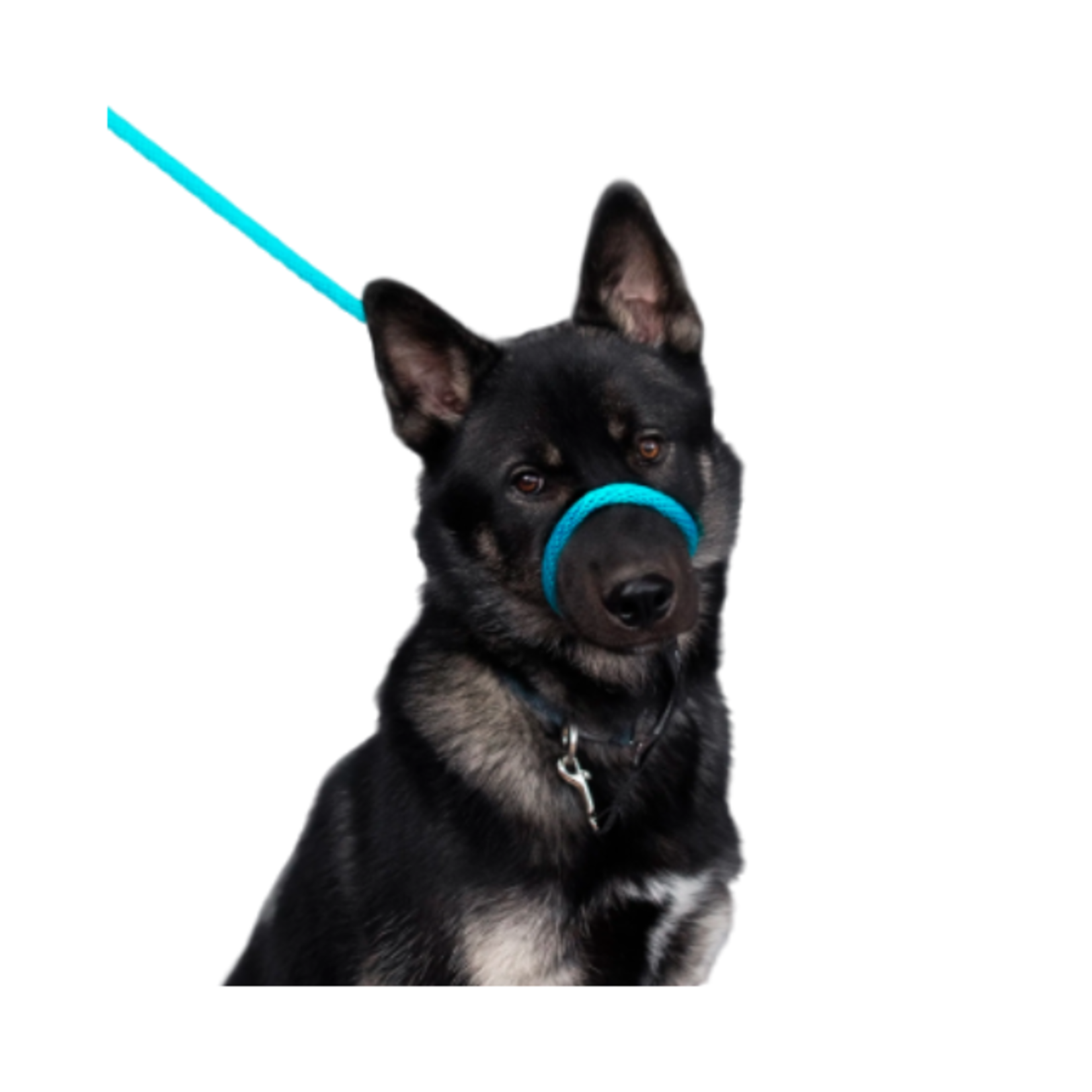 Heather's Heroes Heather's Heroes Sidekick Mini Turquoise