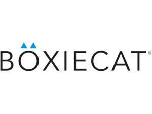 Boxie Cat