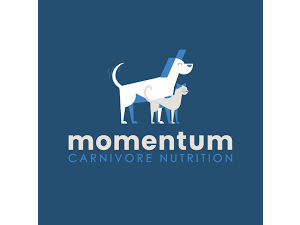 Momentum
