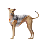 Canada Pooch Canada Pooch Reversible Vest Orange