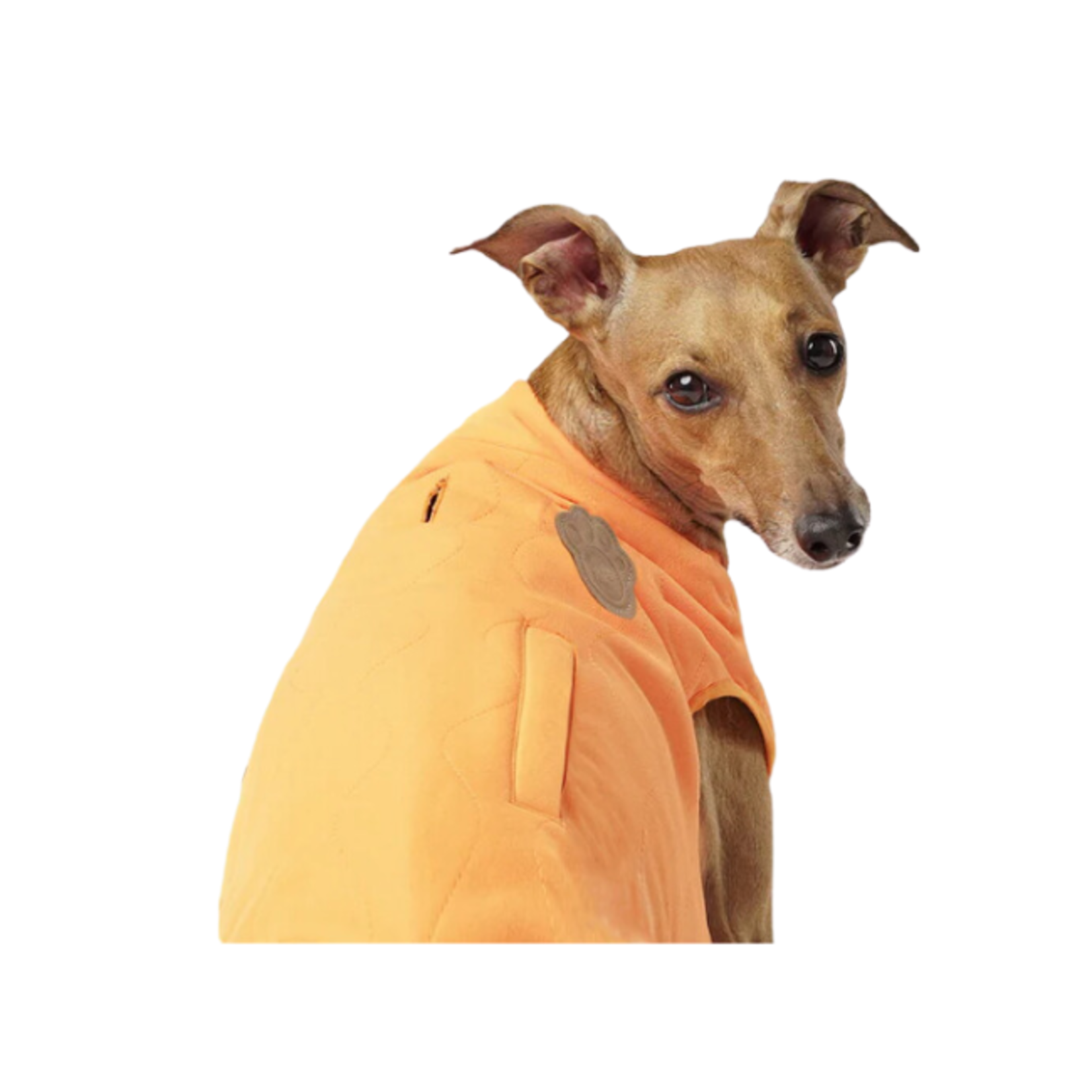 Canada Pooch Canada Pooch Reversible Vest Orange