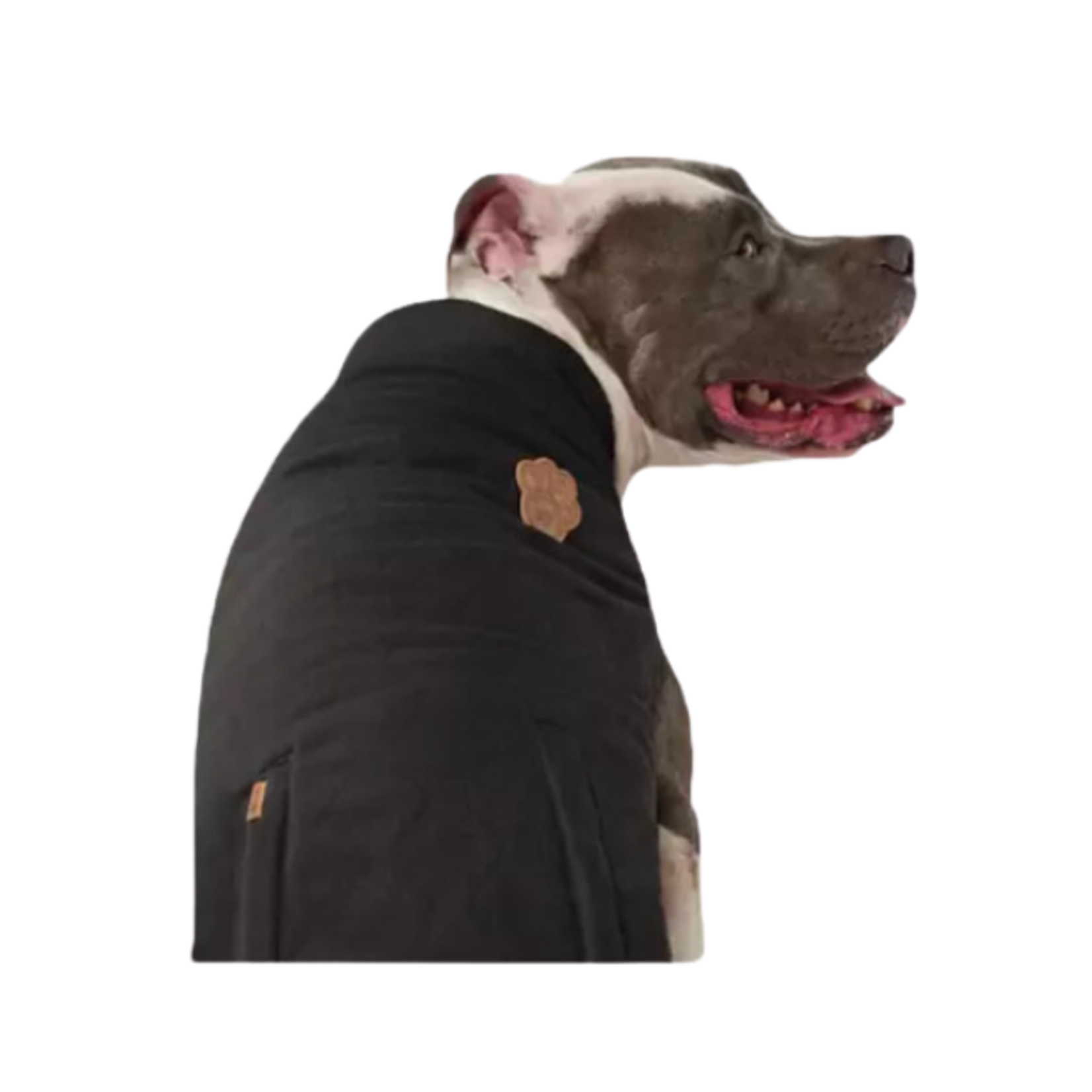 Canada Pooch Canada Pooch Reversible Vest Black