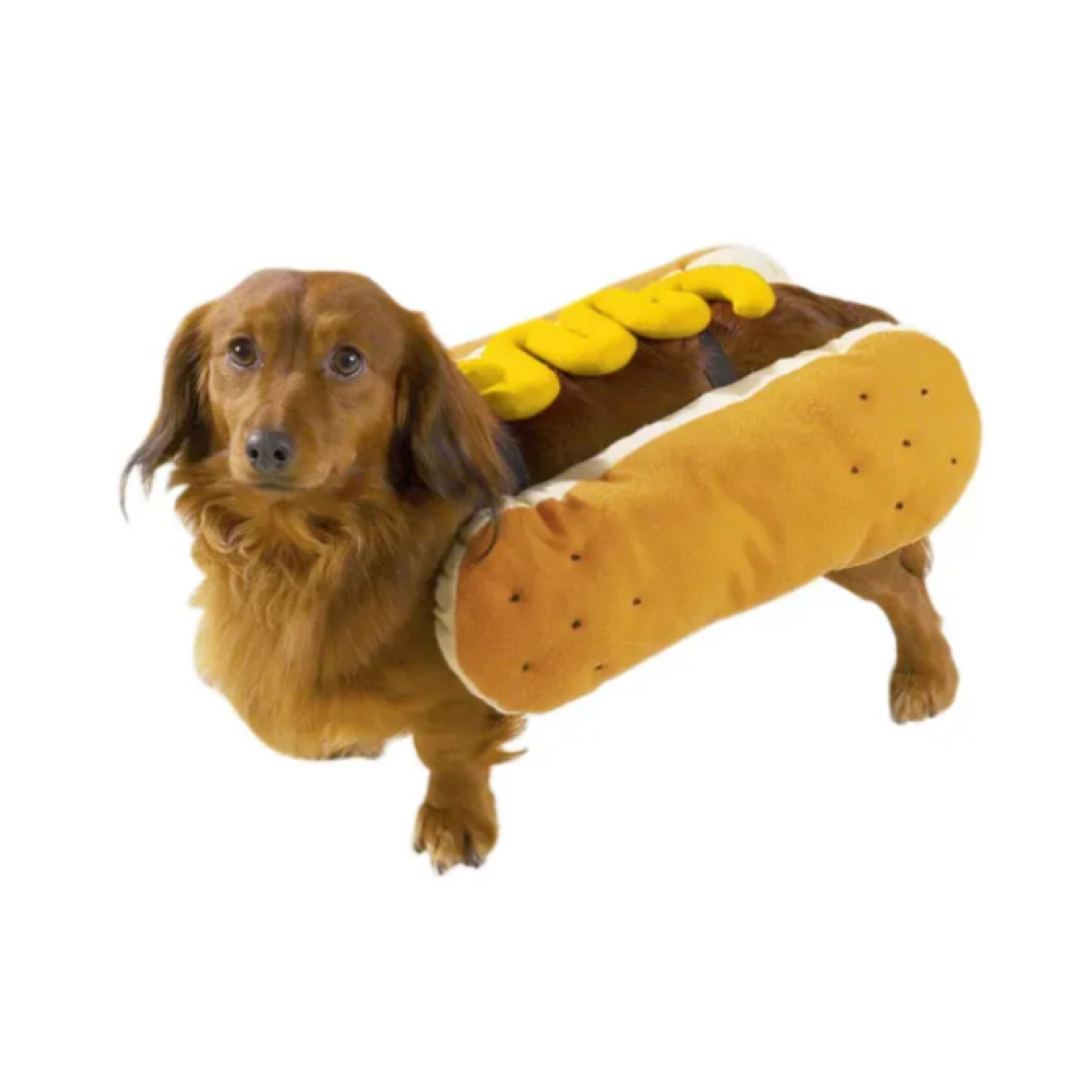 Casual Canine Hot Diggity Dog Costume - Bentley's Pet Stuff - Libertyville 