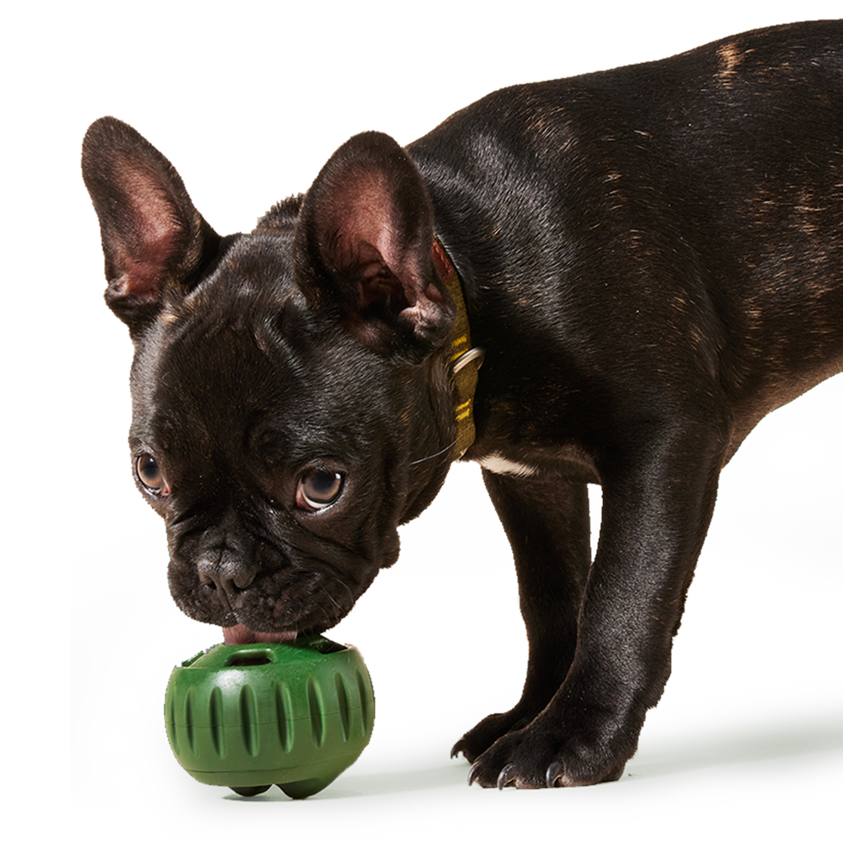 Woof Pet Woof Pet Pupsicle Toy Green