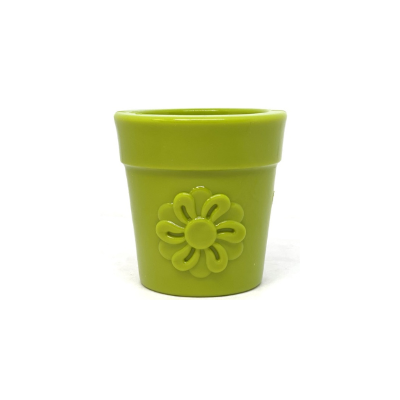 Sodapup Sodapup Enrichment Flower Pot  Large Green