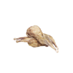 Vital Essentials Vital Essentials Raw Bar Whole Quail