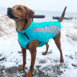 Baydog Baydog Saginaw Bay Jacket