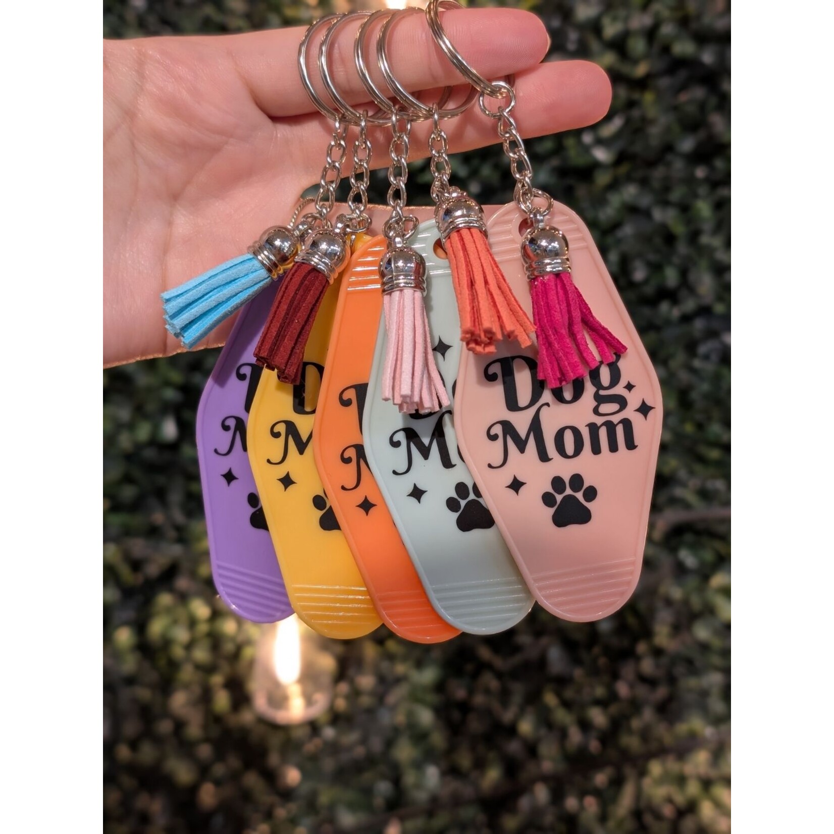 Twelve Paws Twelve Paws Keychain Assorted