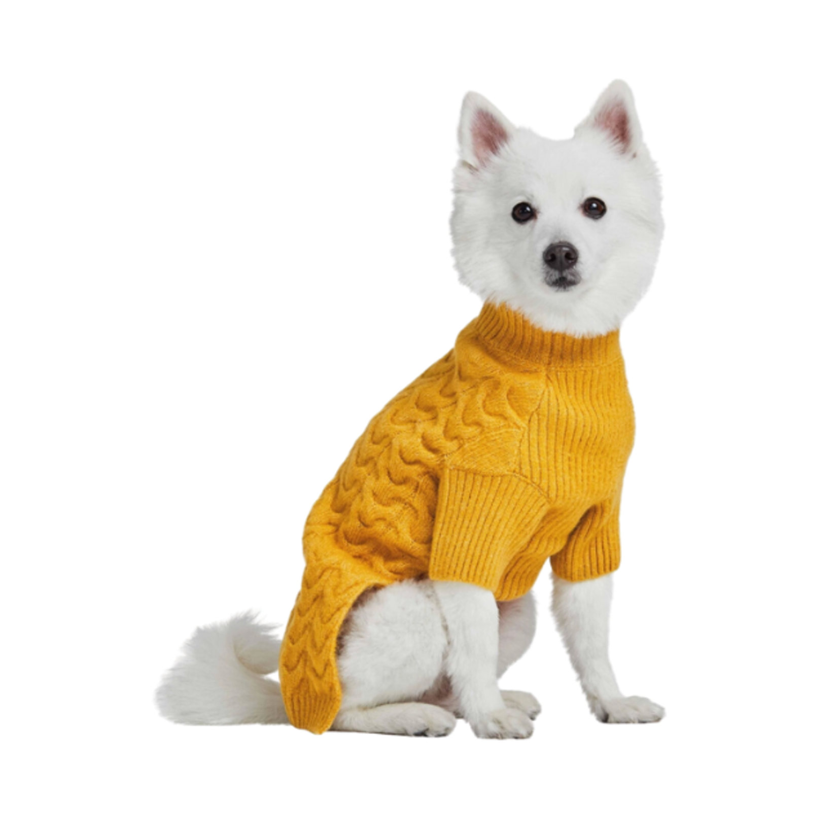 Blueberry Pet Blueberry Pet Knit Sweater Mustard