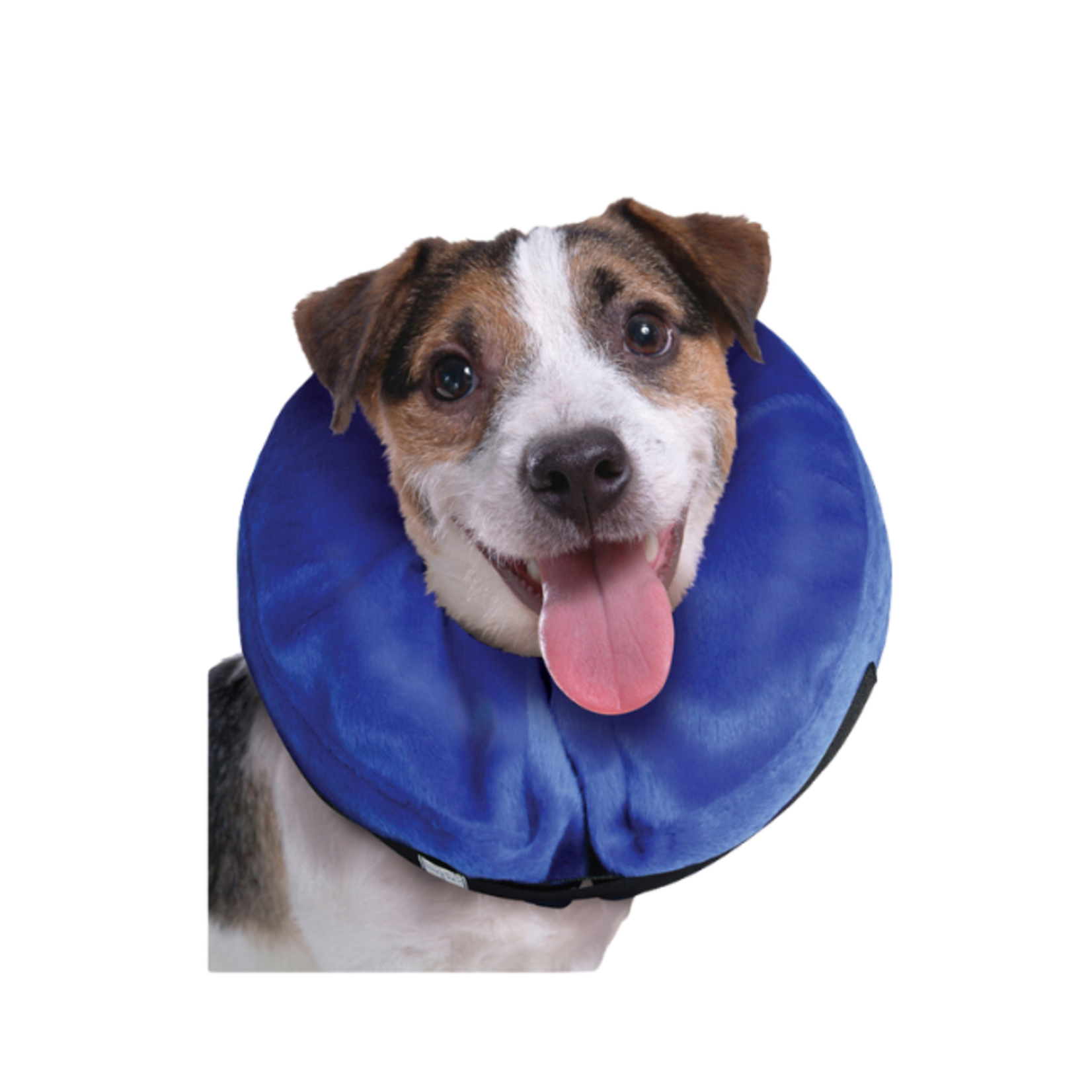 Kong Cloud E-Collar