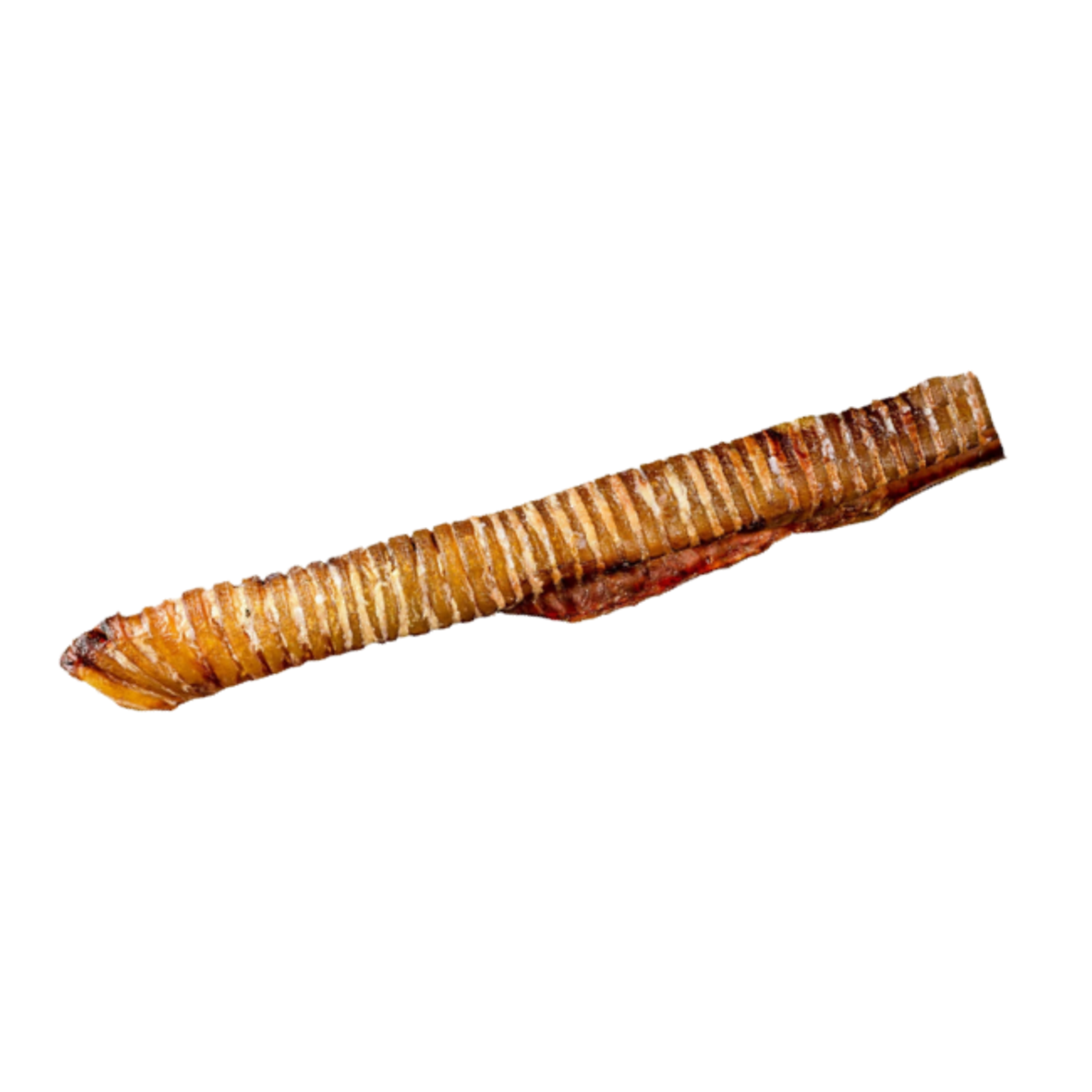 Mascoti Mascoti Beef Trachea 12"