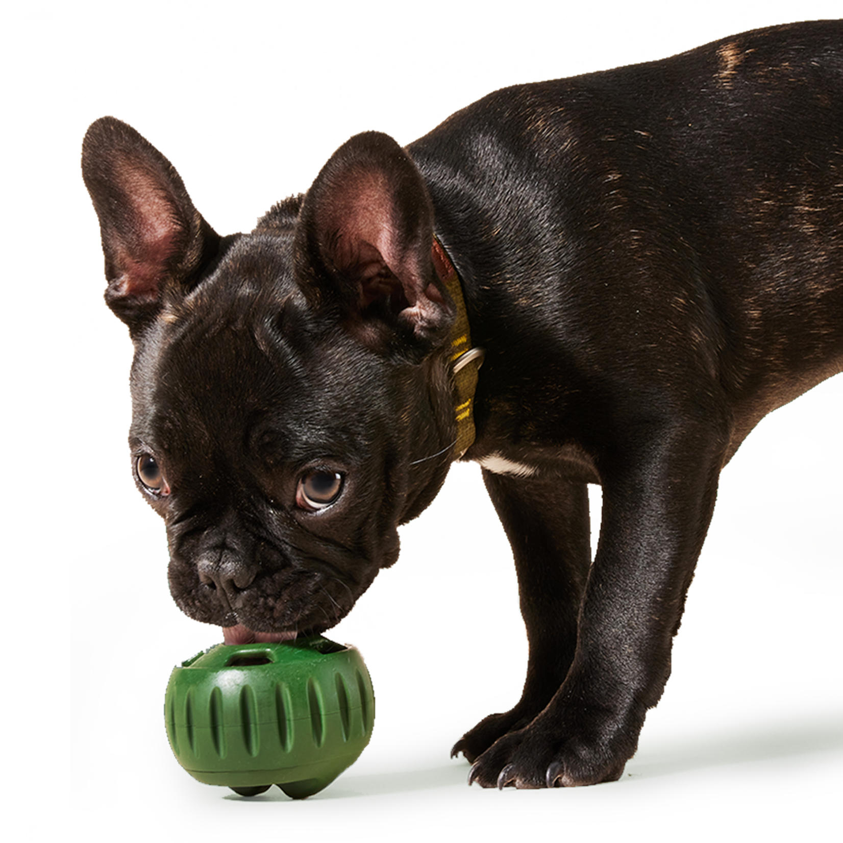 Woof Pet Woof Pet Pupsicle Toy Lavender