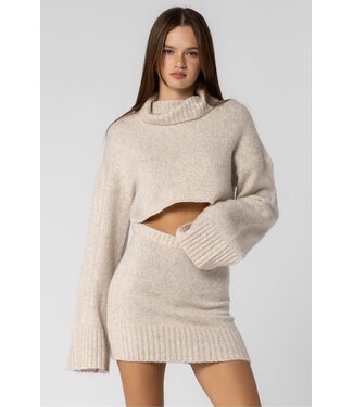 Juniper Knit Skirt