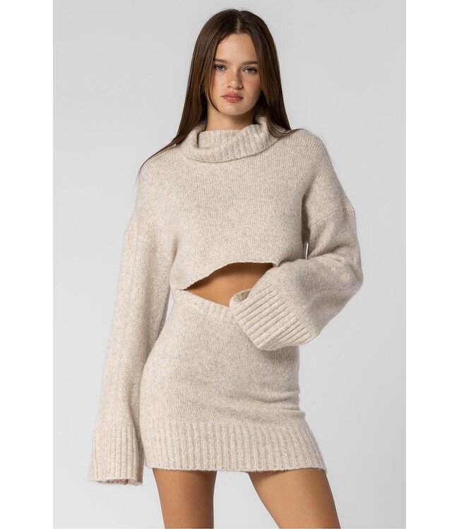 Juniper Knit Skirt