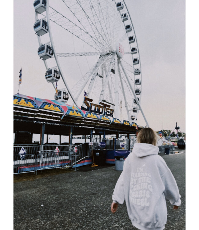 Ferris Wheel Hoodie