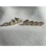 Evie CZ Earring