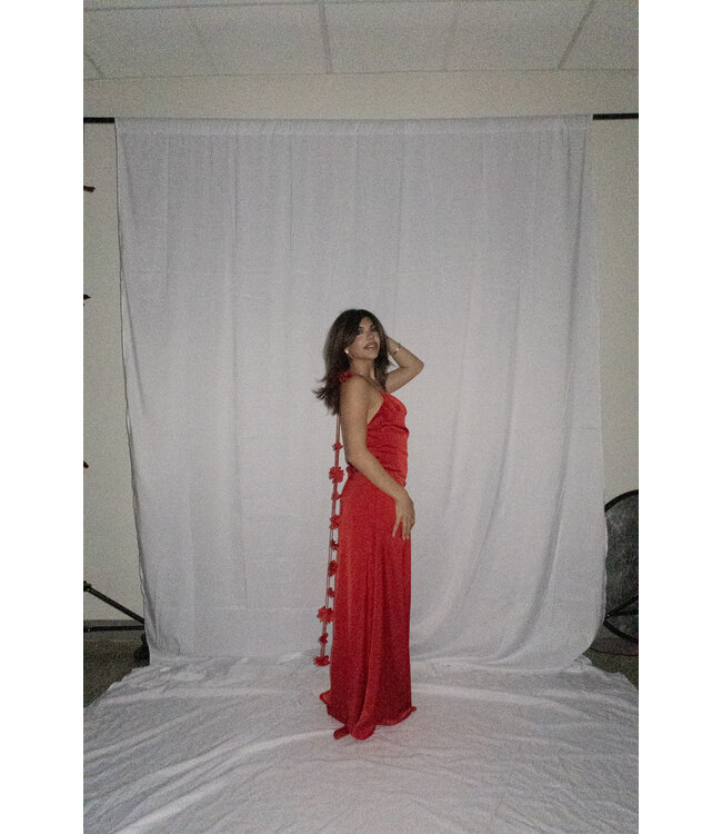 Love You, Mean It Maxi Dress